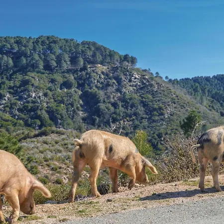 1 Bedroom Cozy In * ゾンザ