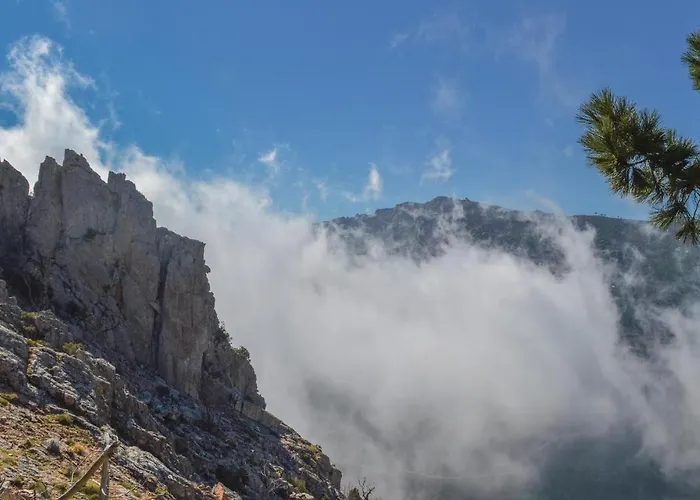 1 Bedroom Cozy In Daire